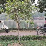 z3072071771679_49815e55831f69ec27f58744e2bb1134