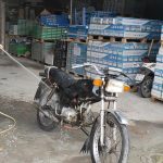 Screenshot_20241205_062526_Gallery